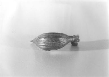 fibula a navicella/ arco